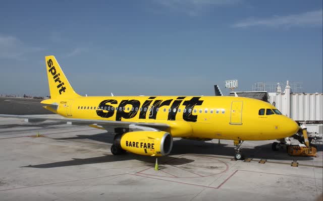 A Spirit Airlines jet parked at an airport gate