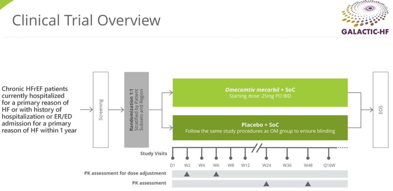 Cytokinetics: Multiple Growth Catalysts Ahead In 2020 (NASDAQ:CYTK ...