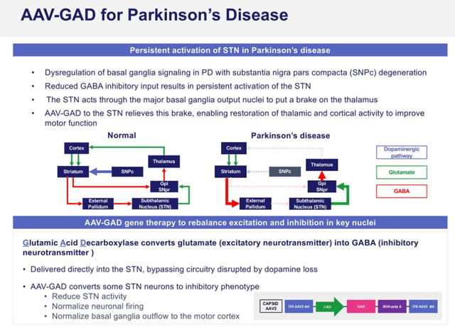 MeiraGTx: An Exciting Gene Therapy Pick In March 2020 (NASDAQ:MGTX ...