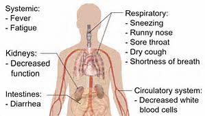 coronavirus symptoms