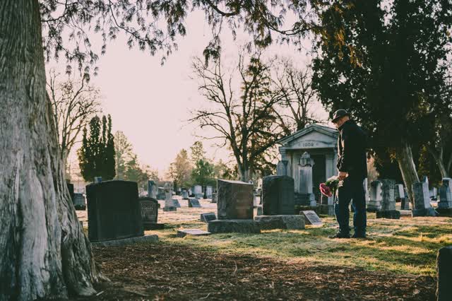 Photo by Brett Sayles from Pexels