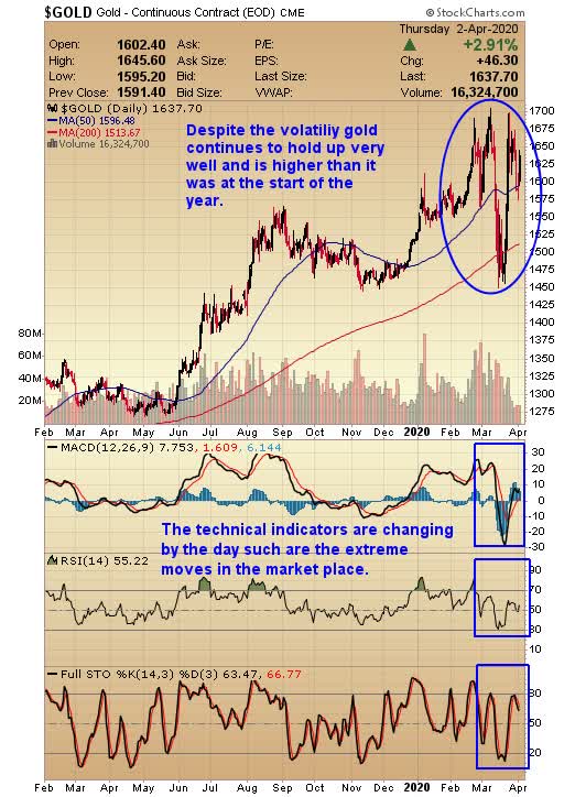 View Shortable Stocks