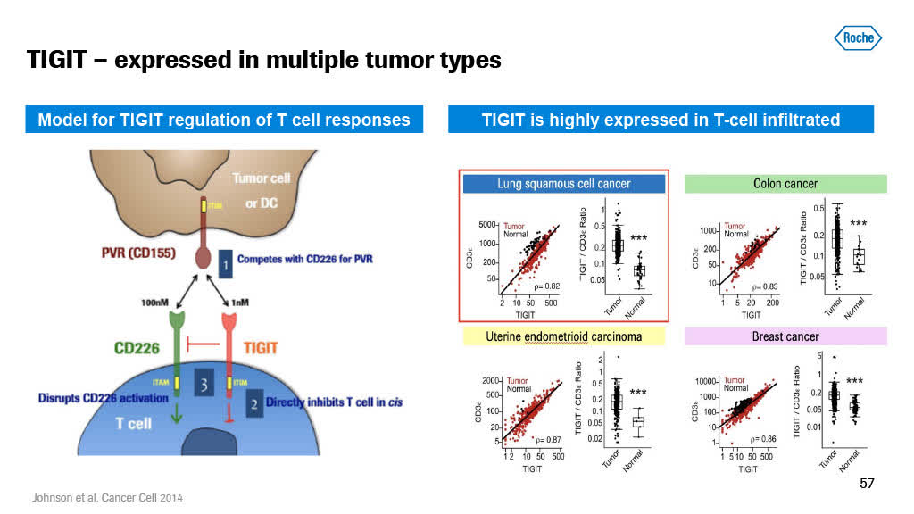 Roche's Upcoming Phase 2 TIGIT Results At ASCO Could Read Through To ...