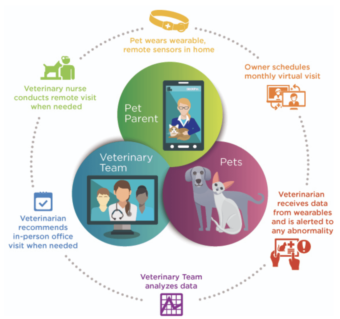 PetMed Express: Tailwinds Are Pushing Pet Medicine Into The Future ...