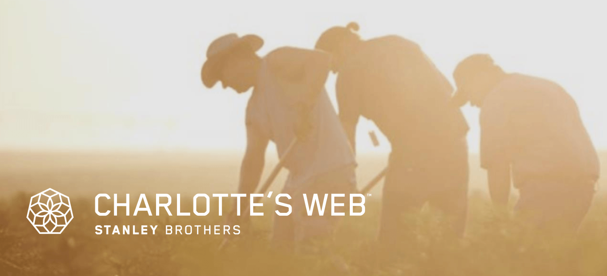 Charlotte's Web A Shattered Growth Story (OTCMKTSCWBHF) Seeking Alpha