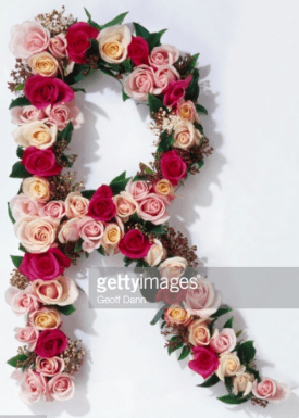 The 91 Stock Rose Portfolio April Update With Dividend Surprises (CLNY ...