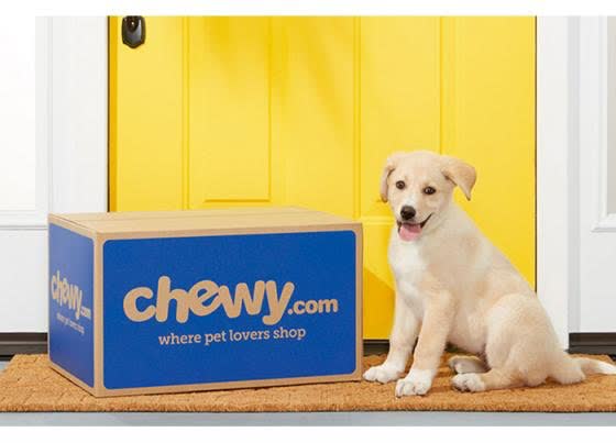 chewy box for dogs