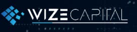 Wize Capital logo