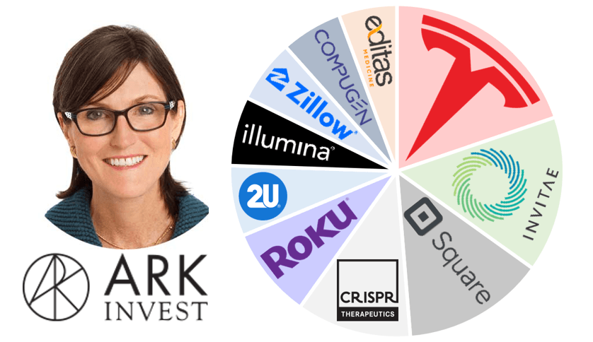 Cathie Wood Ark Etf Holdings