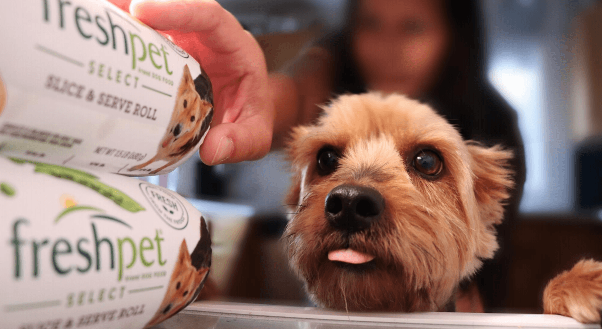 Freshpet Don't Chase The Stock Here (NASDAQFRPT) Seeking Alpha