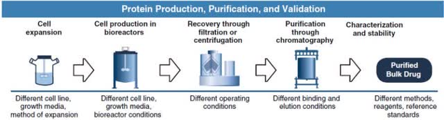 Monoclonal Antibody Production