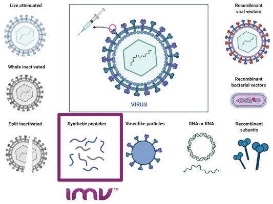 IMV: Covid Vaccine Play Plus Diversified (NASDAQ:IMV-DEFUNCT-583320 ...