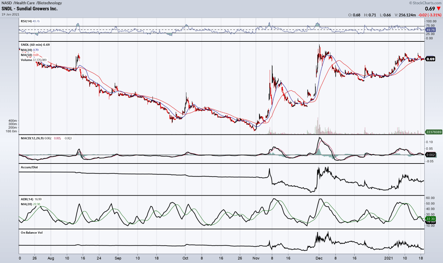 Sundial Growers Rides The Cannabis Bull Market To New Highs (NASDAQ