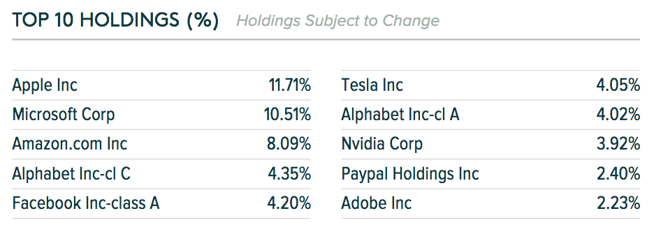 Qyld Companies