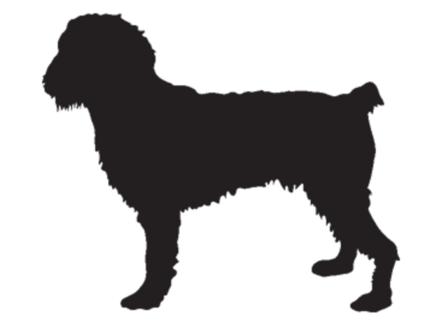 Dog silhouette 