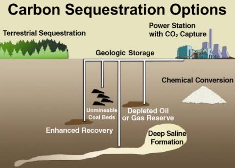 California Resources Carbon Sequestration Options