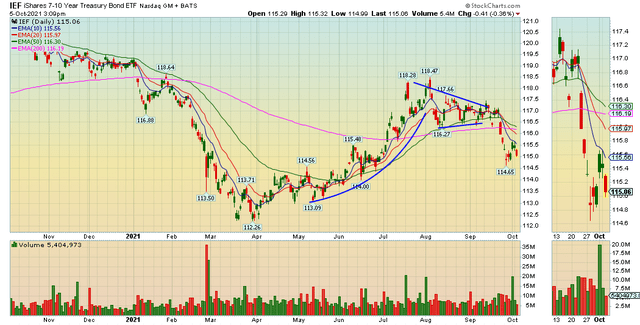 IEF 1-Year