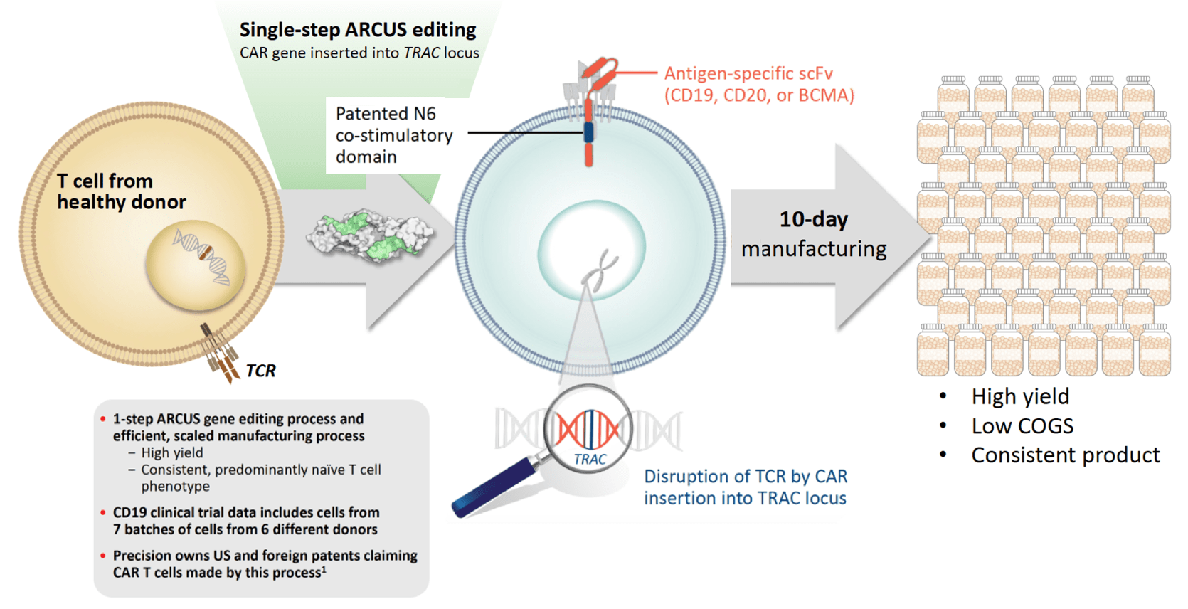 Precision BioSciences: Uniquely Positioned (NASDAQ:DTIL) | Seeking Alpha