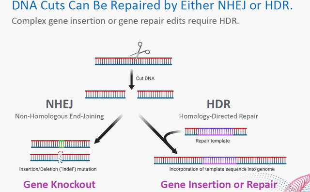 Precision BioSciences: Uniquely Positioned (NASDAQ:DTIL) | Seeking Alpha