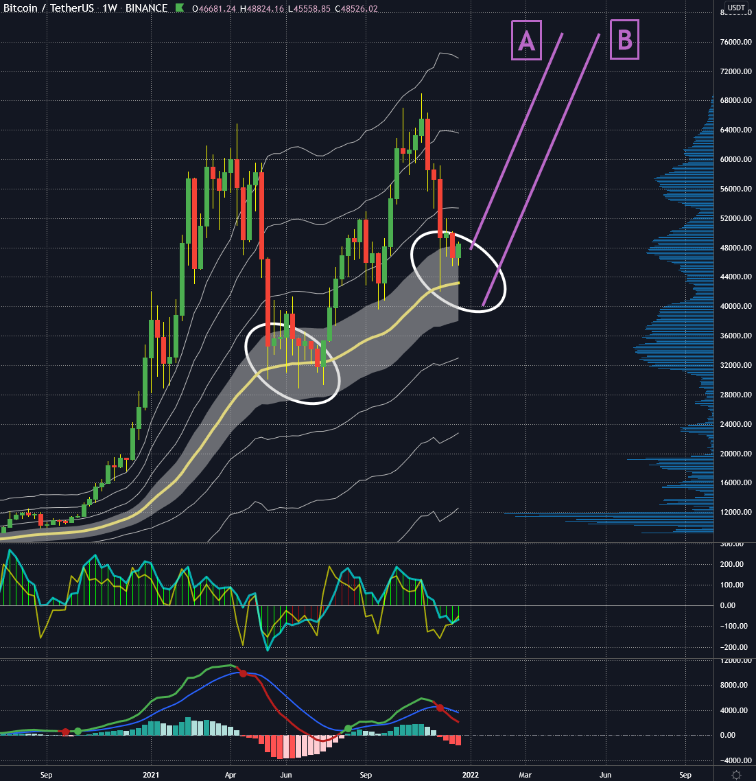 crypto alinment