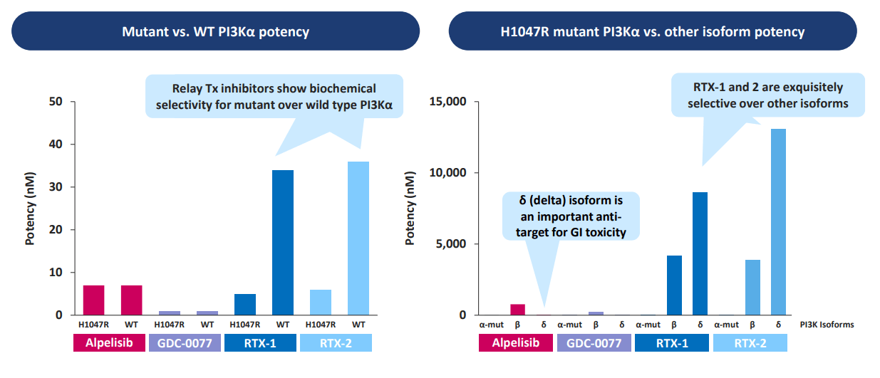 Relay Therapeutics A LongTerm Position Looks Attractive (NASDAQRLAY