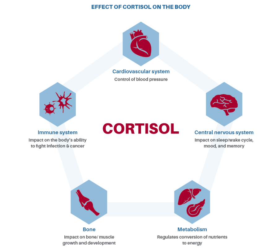 Corcept Therapeutics - Cortisol