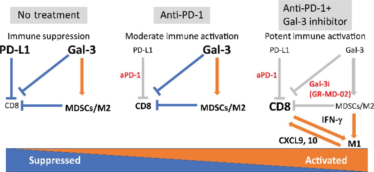 Galectin Therapeutics: The Galectin Signature - Signed, Sealed, And ...