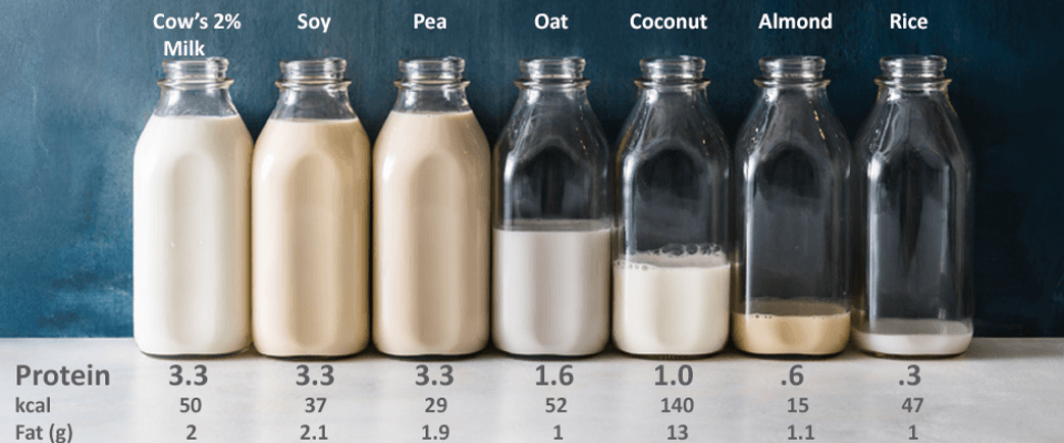 Examples Of Plant-based Milk Alternatives.
