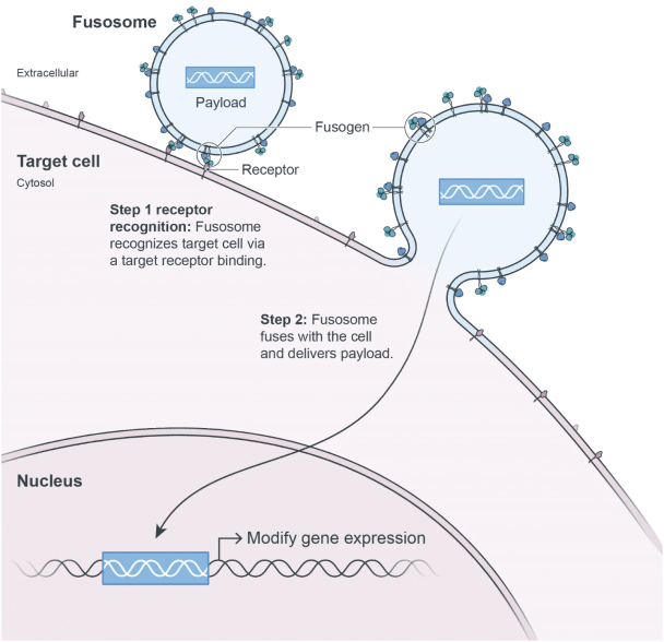 Sana Biotechnology Stock Hypoimmune Cell Therapies (NASDAQSANA