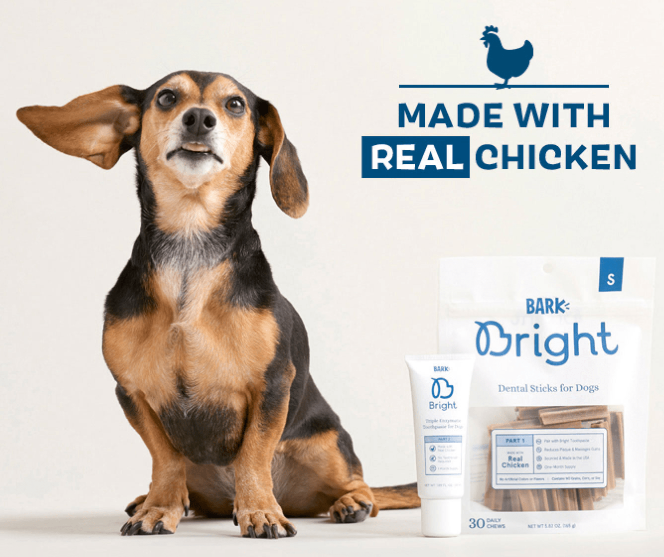 barkbox cost per month