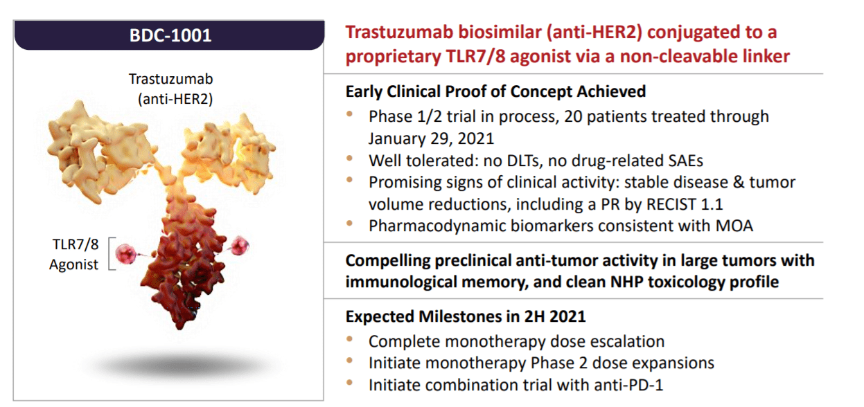 Bolt Biotherapeutics Stock: Pioneering A New Class Of Immunotherapies ...