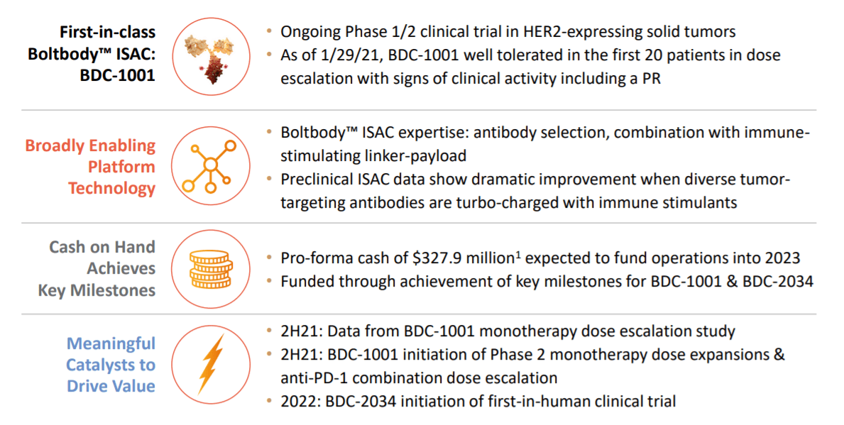 Bolt Biotherapeutics Stock