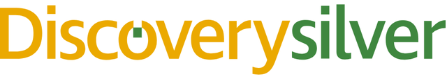 Discovery Silver Logo