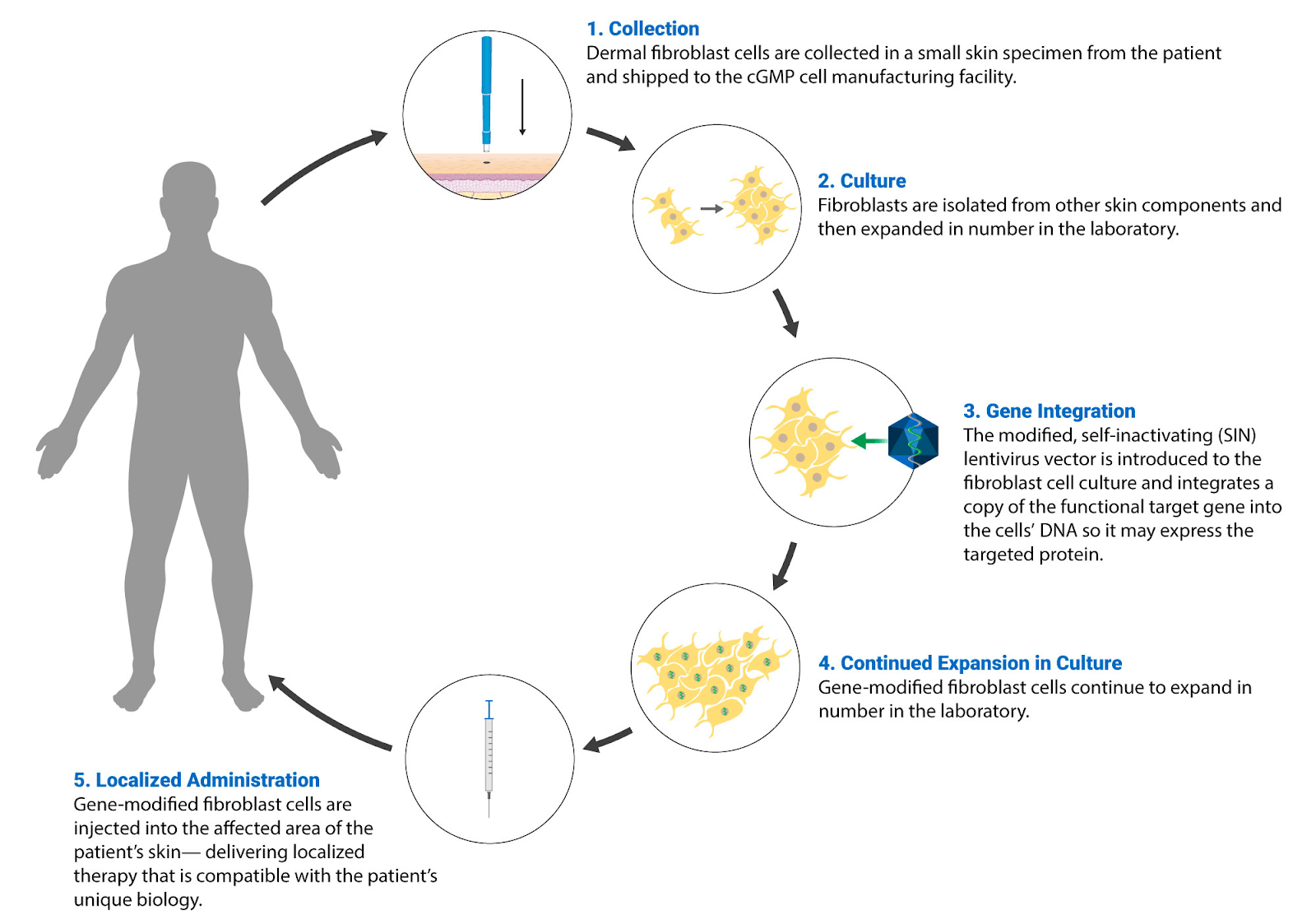 Castle Creek Biosciences IPO Emerging Growth Company With Trials (CCBS) Seeking Alpha