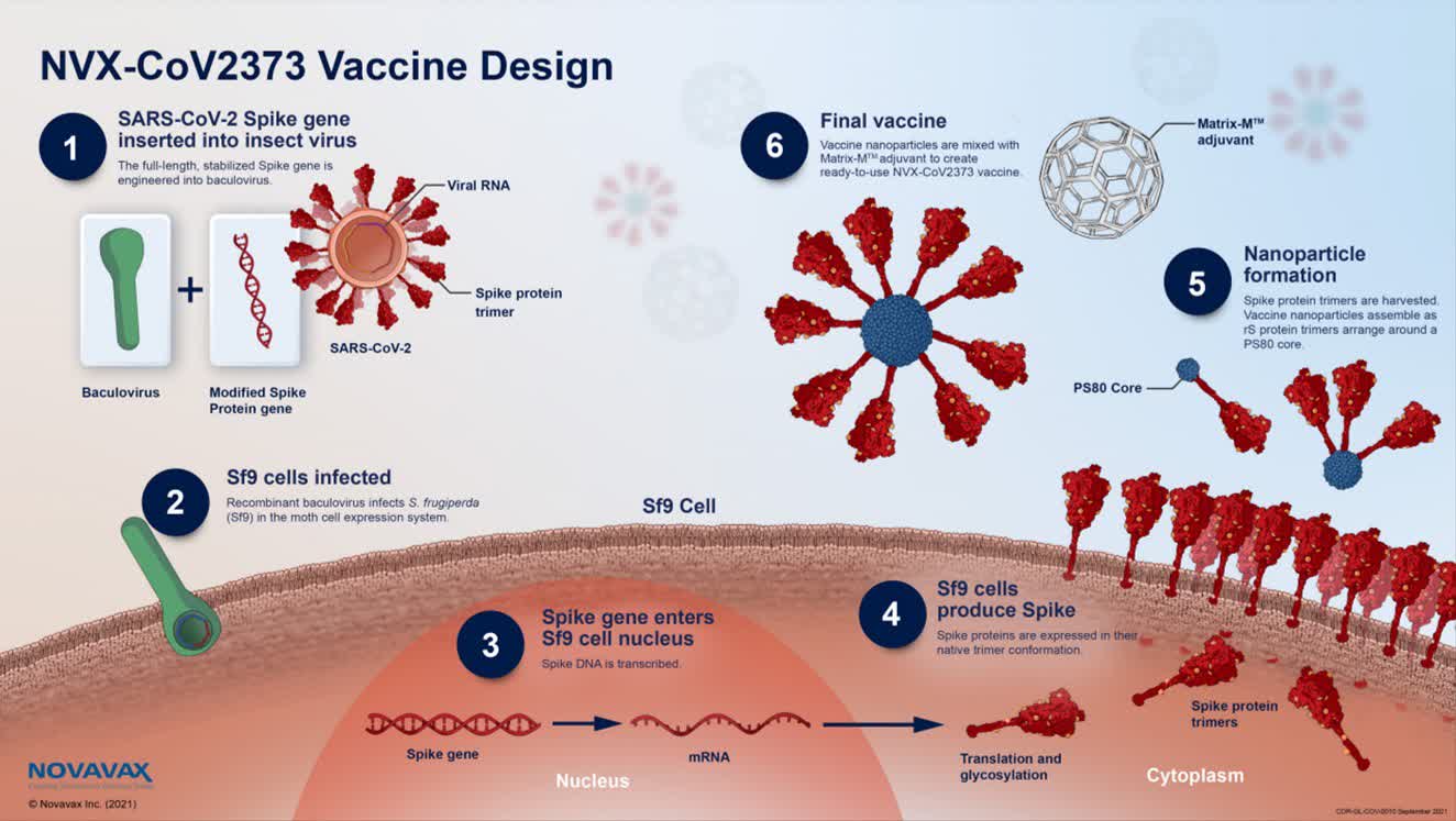 Novavax Stock: Full Steam Ahead! (NASDAQ:NVAX) | Seeking Alpha