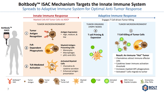 Our First Look At Bolt Biotherapeutics (NASDAQ:BOLT) | Seeking Alpha