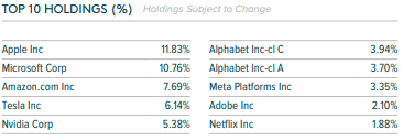 QYLD Top 10 Holdings