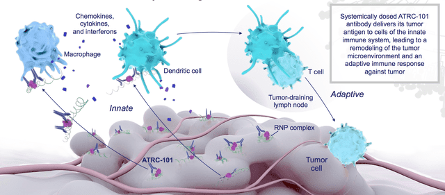 ATRC-101 targeting the tumor microenvironment 