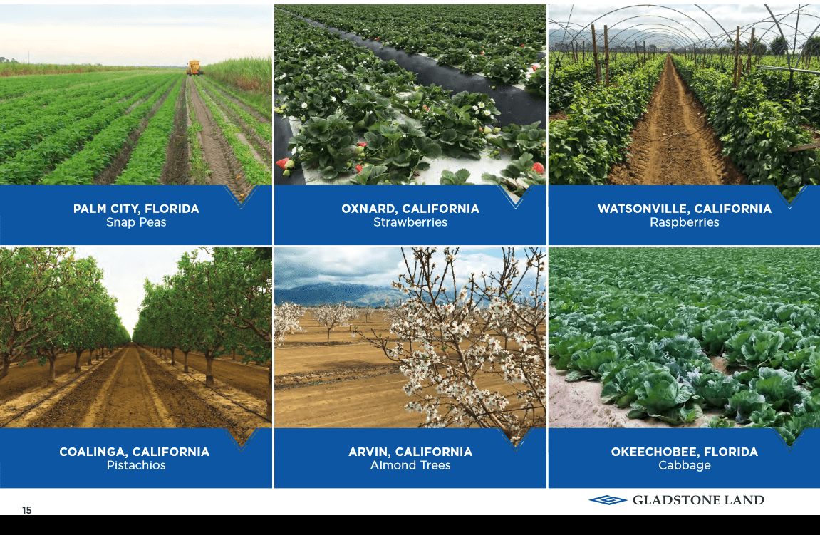 Gladstone Land No Cash Cow (NASDAQLAND) Seeking Alpha