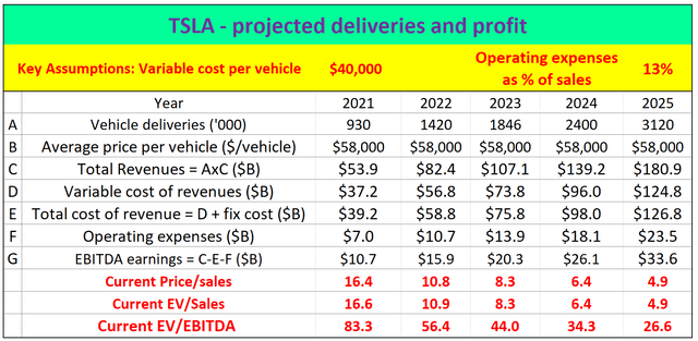 TSLA’s profit and return projections