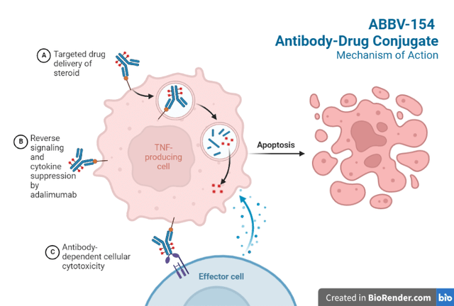 Antibody-Drug Conjugate Mechanism of Action