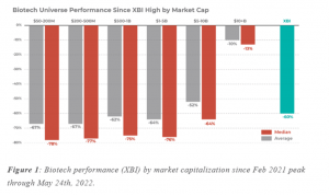 chart: Biotech performance (<a href='https://seekingalpha.com/symbol/XBI' title='SPDR S&P Biotech ETF'>XBI</a>) by market capitalization since Feb 2021 peak through May 24th, 2022.
