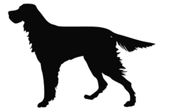 YBUF (2)SEPDOG OCT,22 Open source dog art DDC 7 from dividenddogcatcher.com