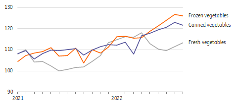 Dutch consumer price index 2015 = 100, monthly data