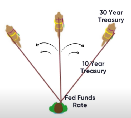 Fed funds rate and treasuries