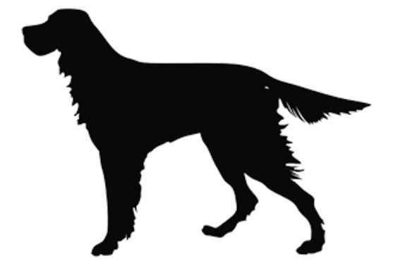 ARI (2) ARISDOG OCT/22 Open source dog art (7) from dividenddogcatcher.com