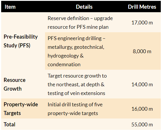 Discovery Silver 2022 drilling campaign