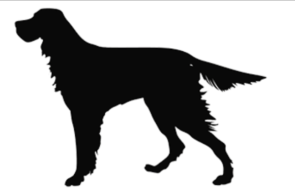 KBIB22 (2) NOV22-23 Open source dog art DDC7 from dividenddogcatcher.com