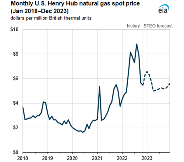 Past and predicted Henry Hub gas price