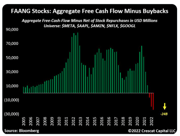 historic chart of FAANg cash flow